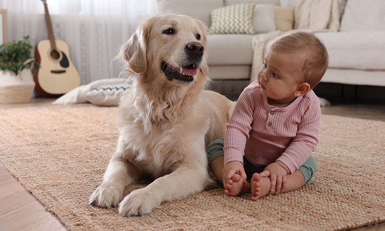 Otrok in pes
